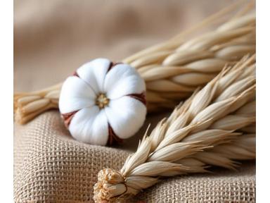 Various plant-based fibers like raw cotton, flax, and hemp in their natural states.